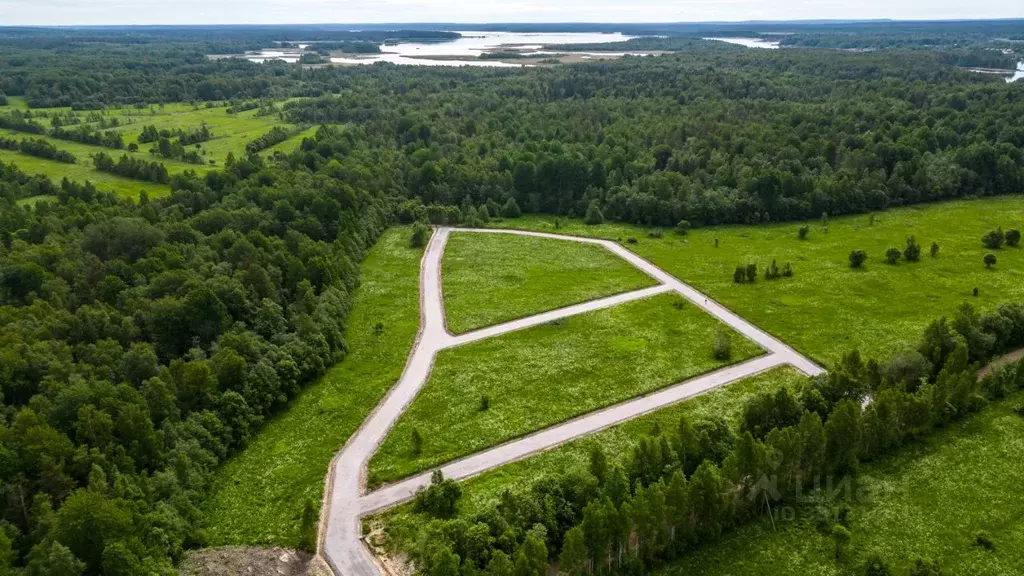 Участок в Ленинградская область, Приозерский район, Ромашкинское ... - Фото 2