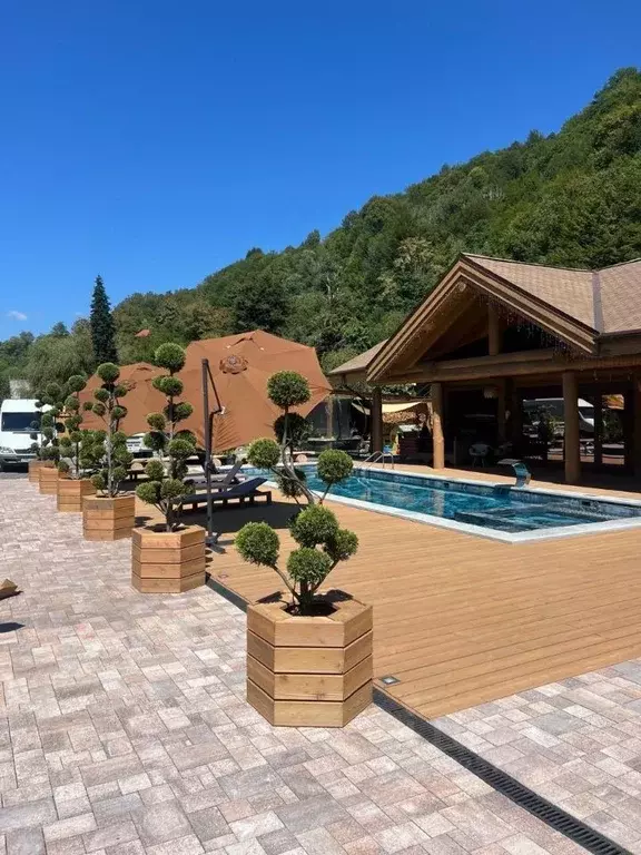 Дом в Краснодарский край, Сочи городской округ, с. Медовеевка ул. ... - Фото 1