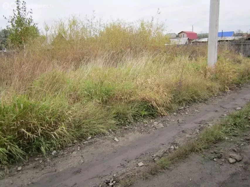 Участок в Курганская область, Кетовский муниципальный округ, НДПК ... - Фото 2