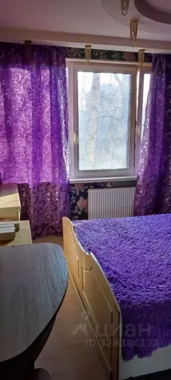 1-к кв. Санкт-Петербург просп. Культуры, 11К6 (35.0 м) - Фото 2