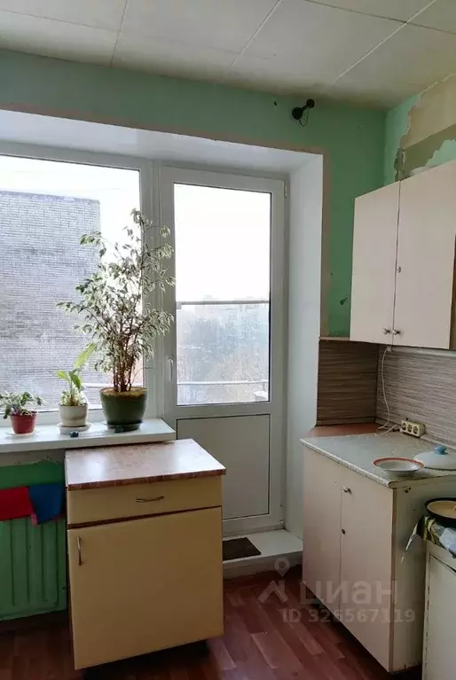 Комната Санкт-Петербург ул. Коллонтай, 25К1 (13.0 м) - Фото 2