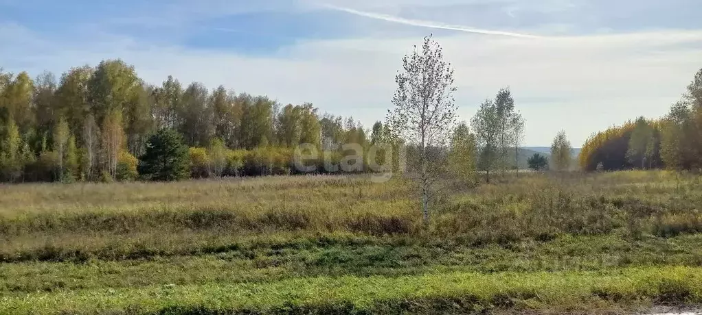 Участок в Кемеровская область, Кемеровский муниципальный округ, д. ... - Фото 1