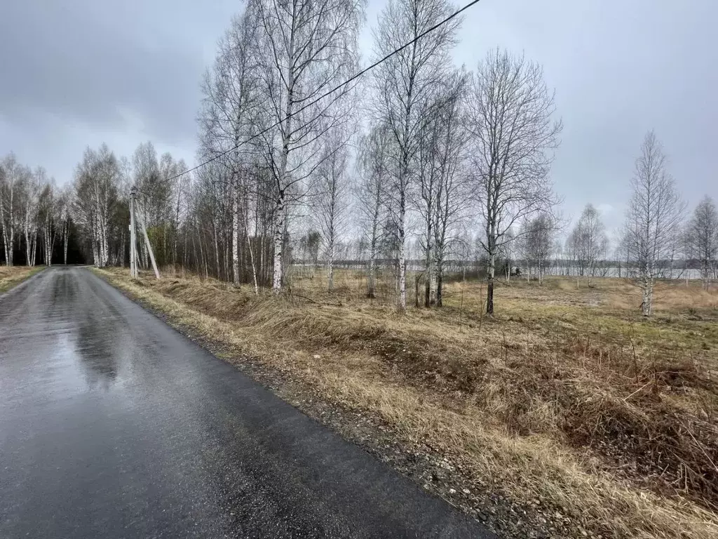 Участок в Ярославская область, Некрасовский муниципальный округ, д. ... - Фото 2