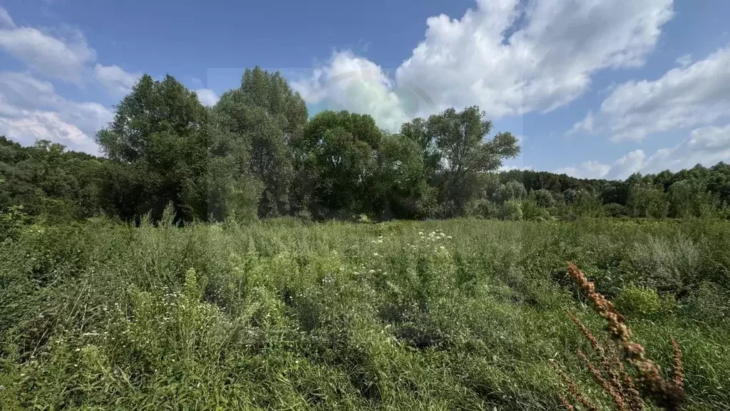 Участок в Башкортостан, Кушнаренковский сельсовет, с. Кушнаренково ул. ... - Фото 2