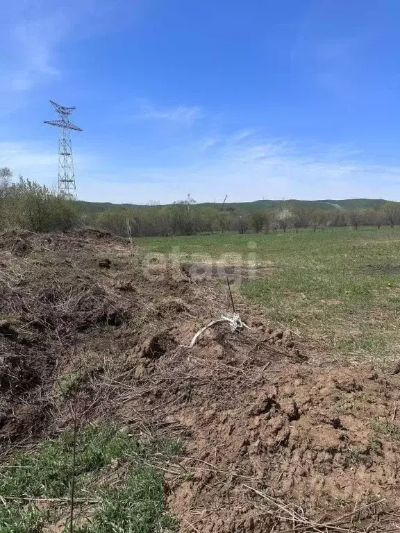 Участок в Амурская область, Благовещенский район, с. Чигири  (10.9 ... - Фото 1