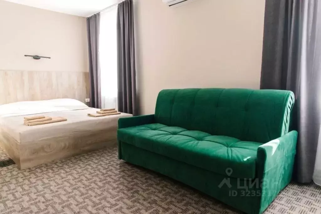 Комната Нижегородская область, Бор муниципальный округ, д. Воронино, ... - Фото 2