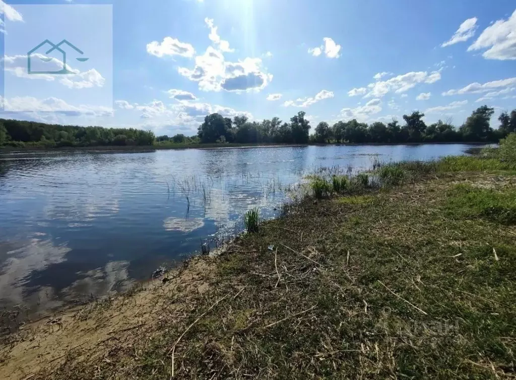 Участок в Воронежская область, Новоусманский район, с. Бабяково ... - Фото 0