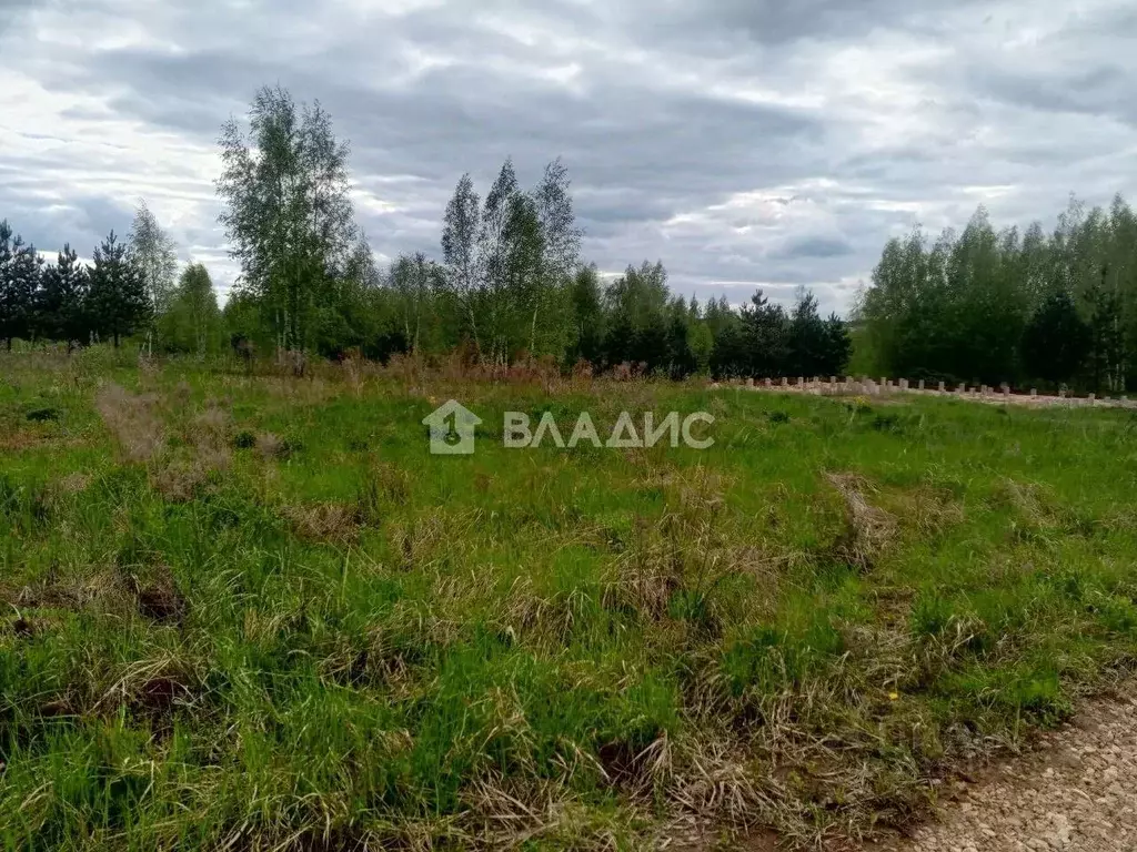 Участок в Нижегородская область, Нижний Новгород Берег СНТ, ул. ... - Фото 1