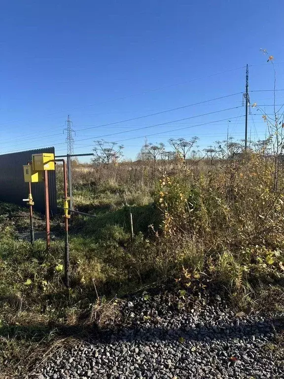 Участок, 12 сот., поселения (ижс) - Фото 0