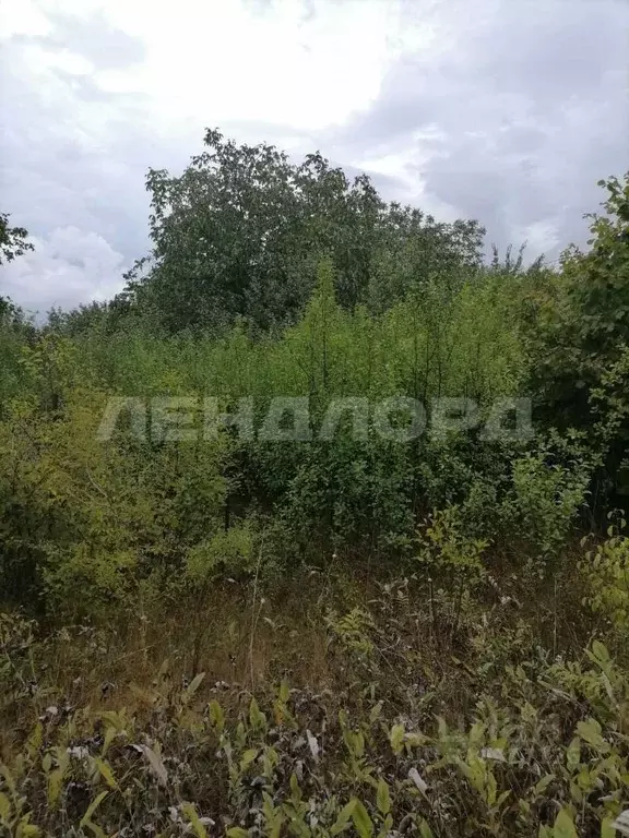 Участок в Ростовская область, Аксайский район, Истоминское с/пос, ... - Фото 2