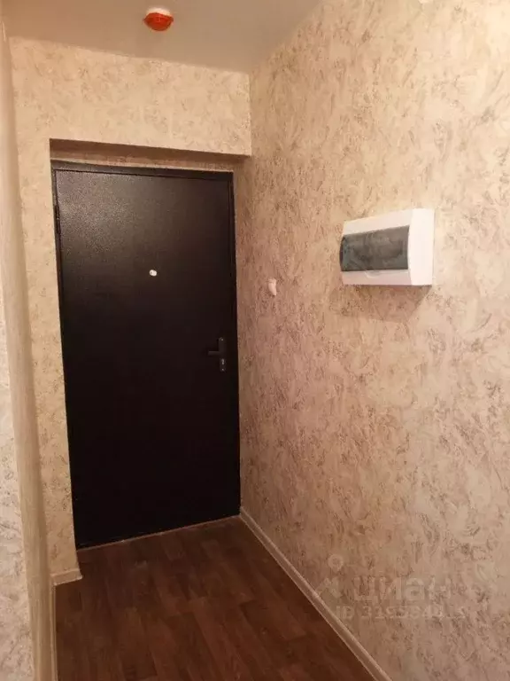 1-к кв. Курганская область, Курган ул. Броневик, 2А (33.8 м) - Фото 1