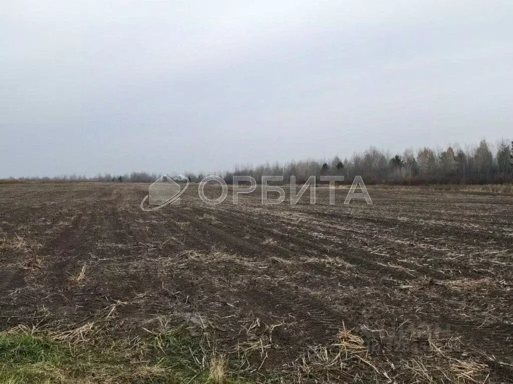 Участок в Тюменская область, Тюменский муниципальный округ, ... - Фото 2