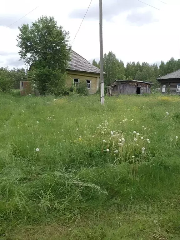Дом в Нижегородская область, Ковернинский муниципальный округ, с. ... - Фото 1