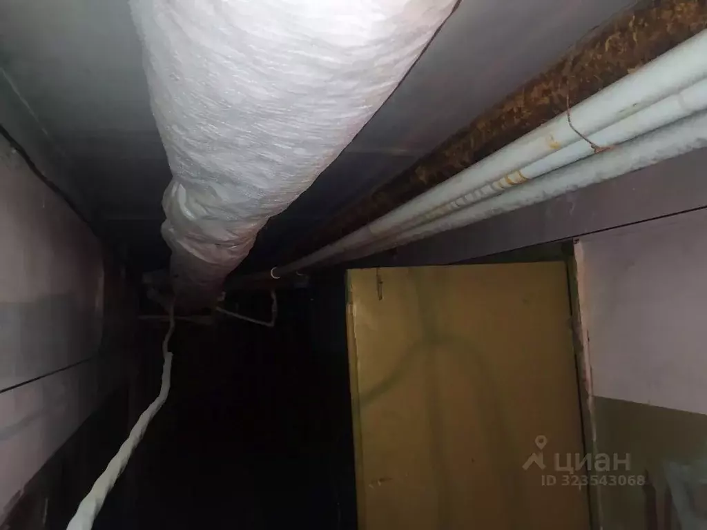 Помещение свободного назначения в Башкортостан, Сибай ул. Ленина, 44 ... - Фото 2