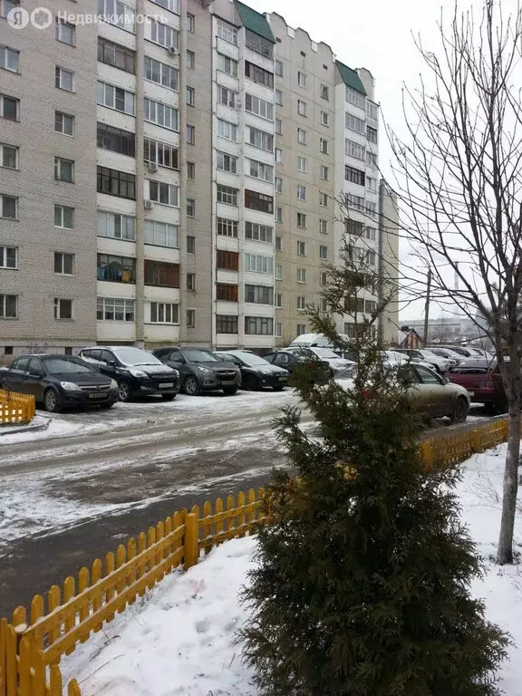 1-комнатная квартира: Орёл, Пожарная улица, 28 (37.2 м) - Фото 2