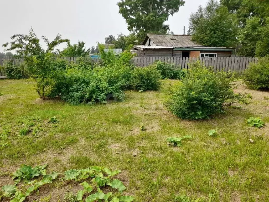 Дом в Амурская область, Ивановский муниципальный округ, с. Березовка ... - Фото 1