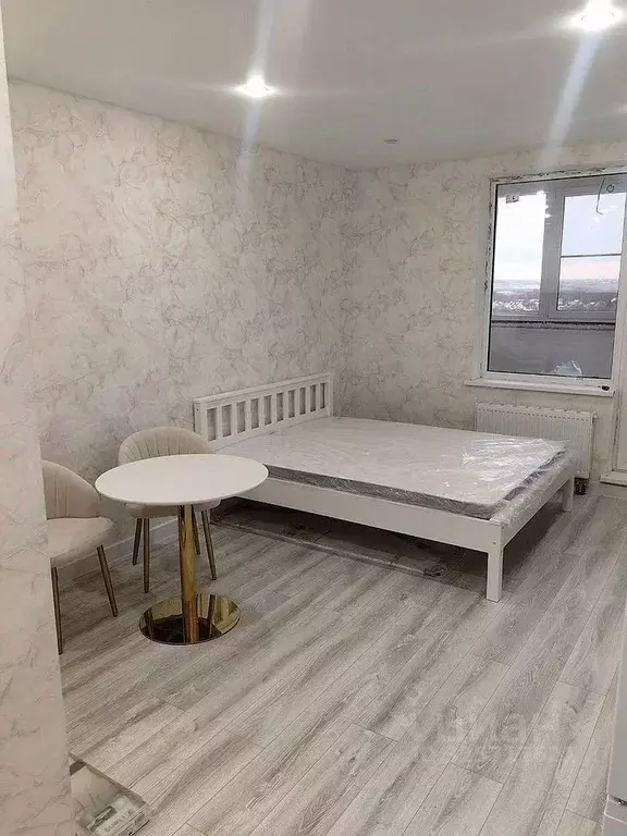 Студия Московская область, Домодедово городской округ, с. Домодедово ... - Фото 1