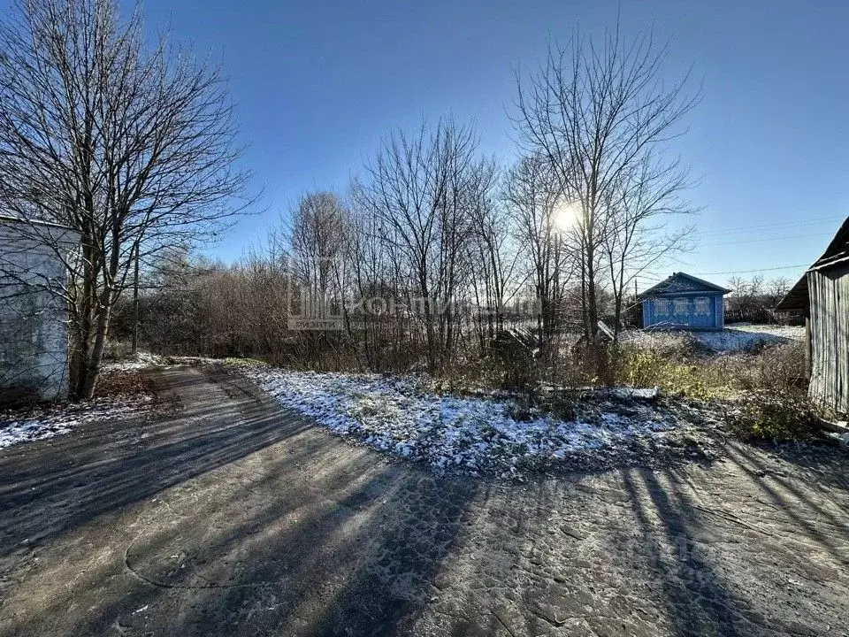 Участок в Владимирская область, Меленковский муниципальный округ, д. ... - Фото 2