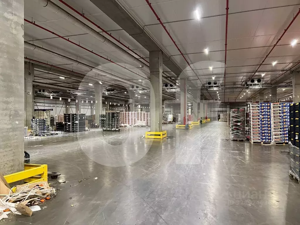 Склад в Московская область, Мытищи городской округ, пос. Вешки, ... - Фото 2