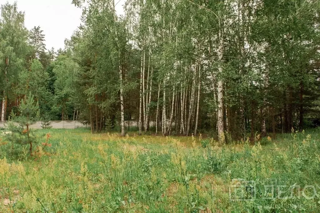 Участок в Рязанская область, Спасский район, Панинское с/пос, Искра ... - Фото 1