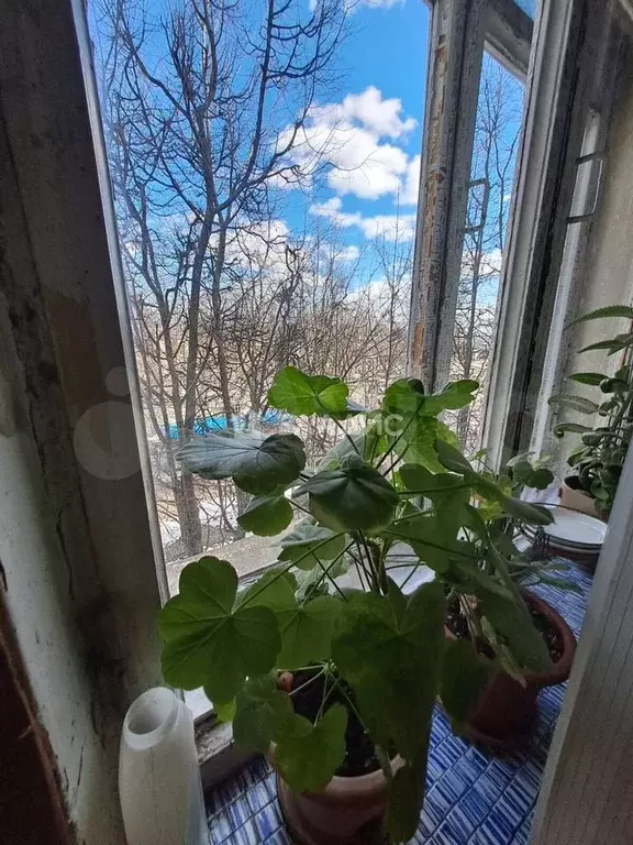 2-к. квартира, 63 м, 3/5 эт. - Фото 0