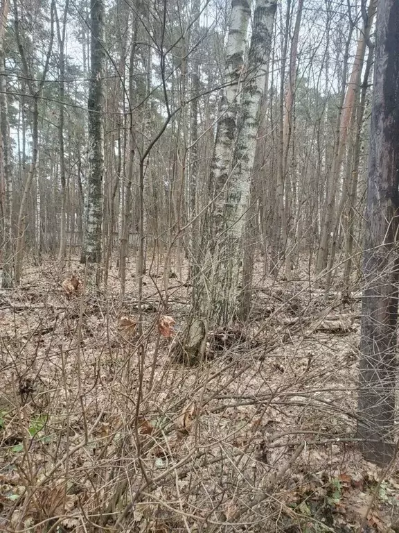 Участок в Московская область, Люберцы городской округ, Малаховка пгт ... - Фото 2