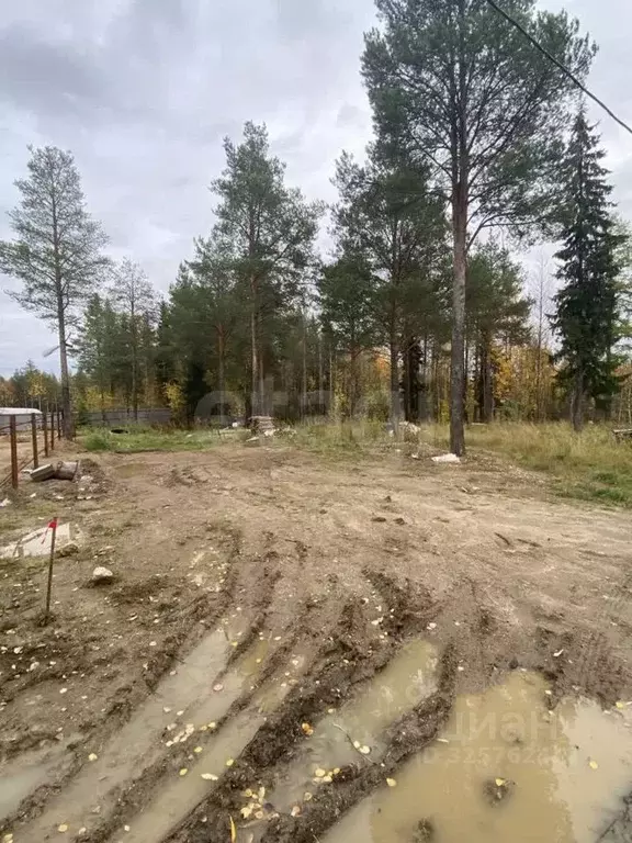 Участок в Коми, Ухта Земляничная Поляна садоводческое товарищество, ... - Фото 1