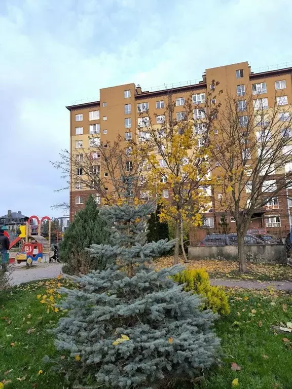 2-к кв. Калининградская область, Калининград ул. Липовая аллея, 9 ... - Фото 2