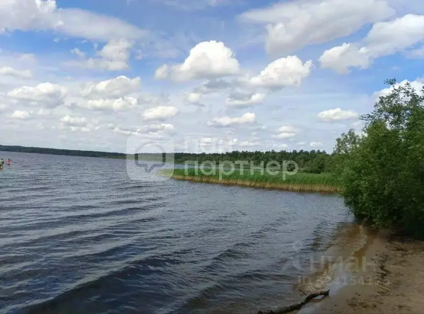 Участок в Ленинградская область, Всеволожский район, Куйвозовское ... - Фото 1