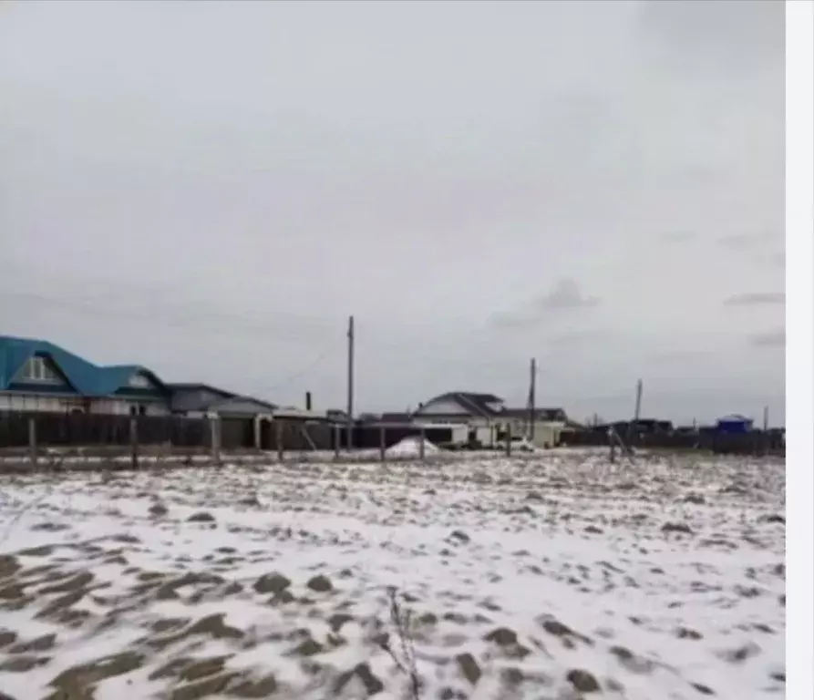 Участок в Курская область, Курский район, Новопоселеновский сельсовет, ... - Фото 2