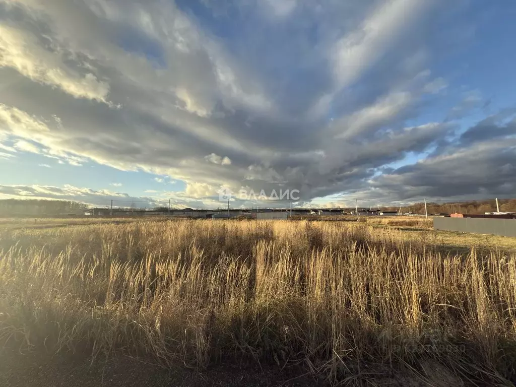 Участок в Московская область, Раменский муниципальный округ, Лисичкино ... - Фото 1