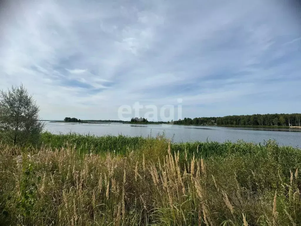 Участок в Костромская область, Красносельский район, Боровиковское ... - Фото 1