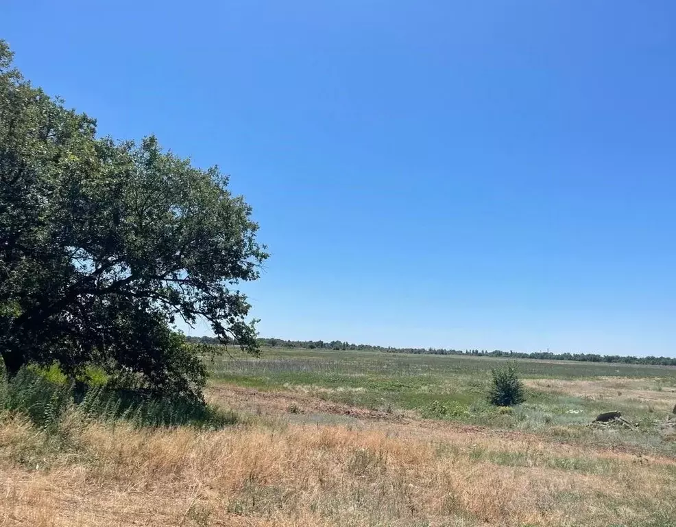 Участок в Волгоградская область, Среднеахтубинский район, Клетское ... - Фото 0