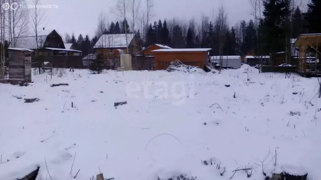 Участок в Казань, некоммерческое садоводческое товарищество ... - Фото 2