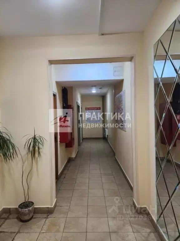 1-к кв. Московская область, Пушкино Новая Деревня мкр, Набережная ул., ... - Фото 2