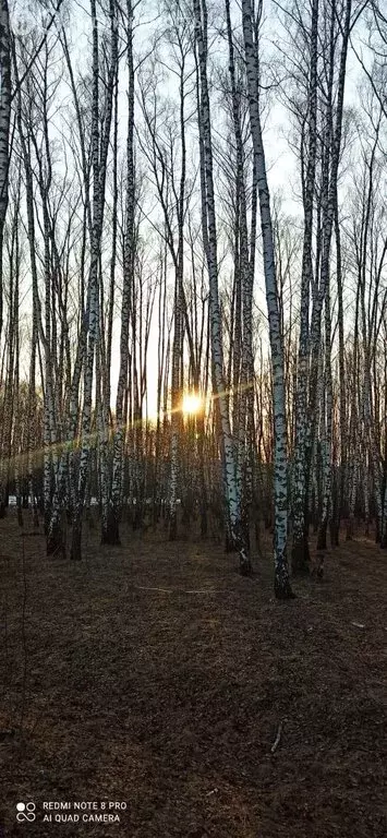 Участок в Тульская область, городской округ Алексин, село Солопенки ... - Фото 0