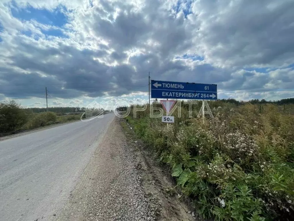 Участок в Свердловская область, Тугулымский муниципальный округ, д. ... - Фото 1