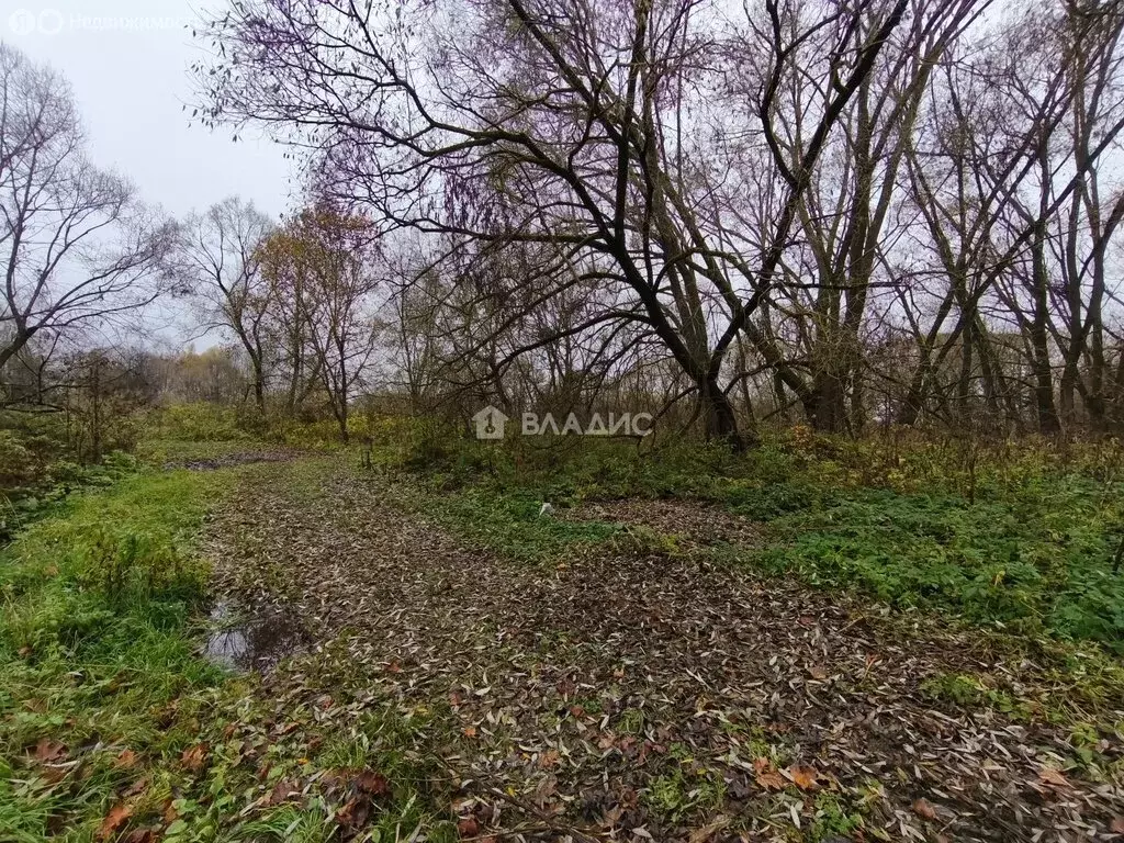 Дом в Рылеево, Прибрежная улица, 50 (60.7 м) - Фото 2