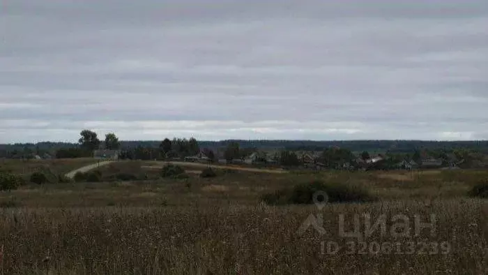 Участок в Калужская область, Село Бабынино с/пос, с. Никольское ул. ... - Фото 2