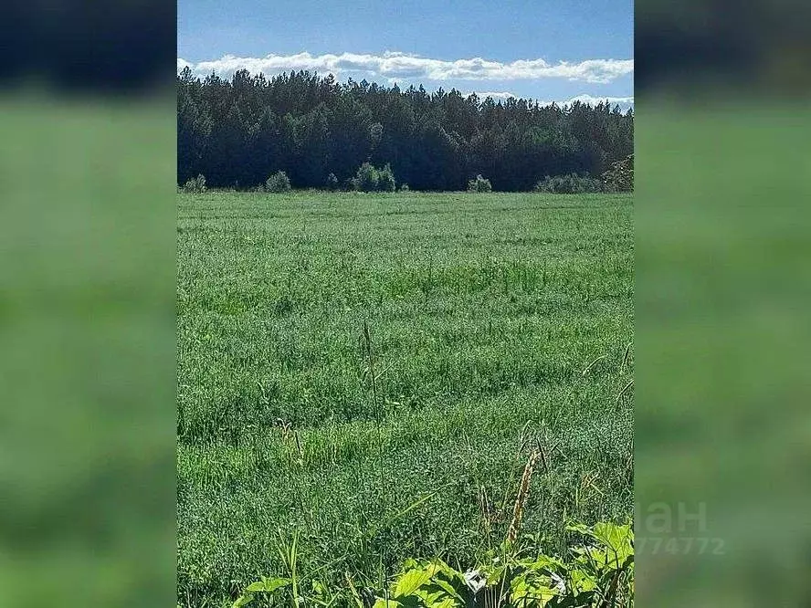 Участок в Коми, Сыктывдинский район, Пажга муниципальное образование, ... - Фото 1