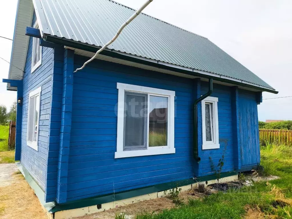 Дом в Новосибирская область, Колыванский район, Север ТСН 174 (60 м) - Фото 1