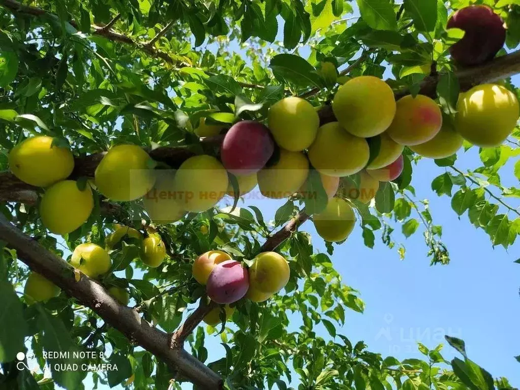 Коттедж в Белгородская область, Белгород пер. 1-й Окраинный (105 м) - Фото 1