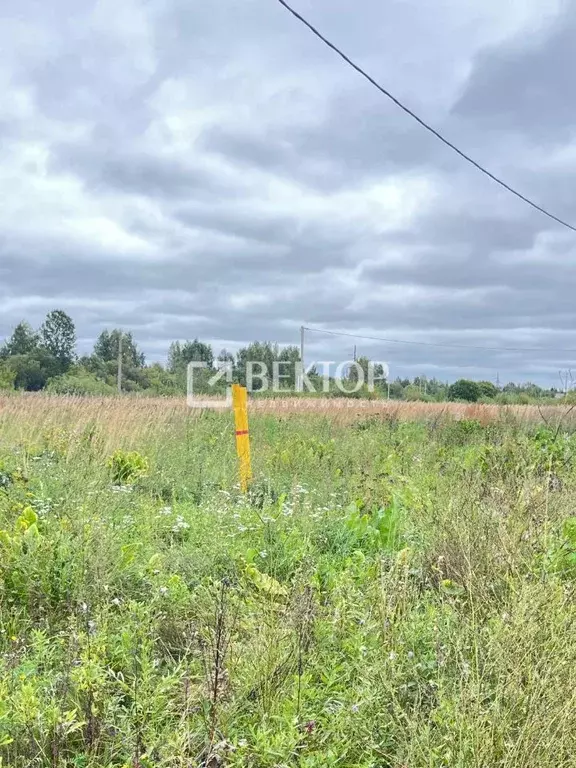 Участок в Костромская область, Кострома ул. Родная (12.2 сот.) - Фото 1