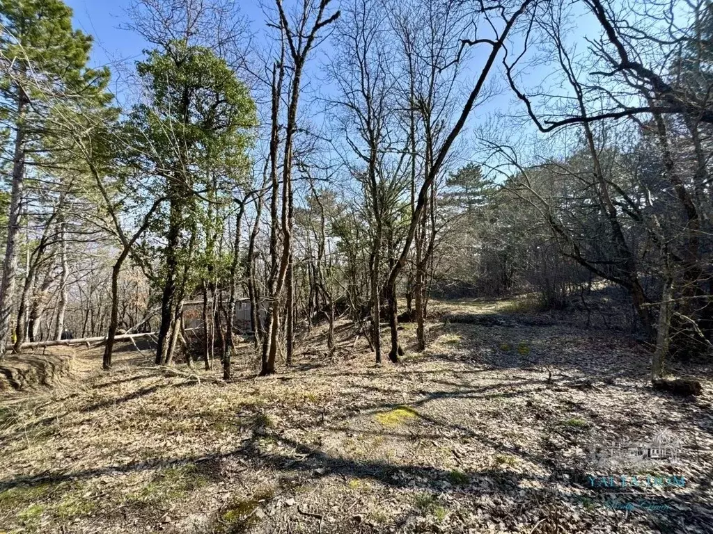 Участок в Крым, Ялта  (23.0 сот.) - Фото 2