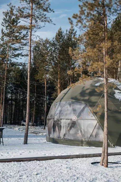 Дом в Новосибирская область, Новосибирский район, Кубовинский ... - Фото 1