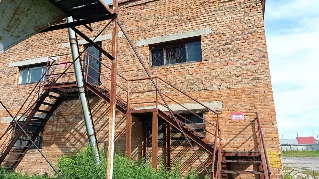 Помещение свободного назначения в Новосибирская область, Ордынское рп ... - Фото 1