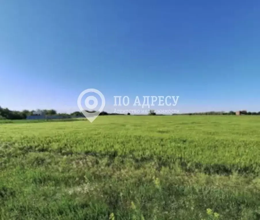 Участок в Саратовская область, д. Мергичевка  (10.0 сот.) - Фото 0