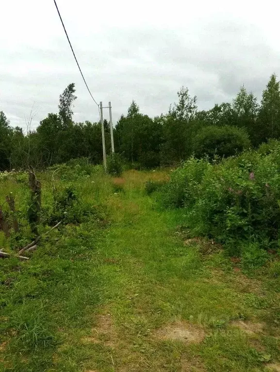 Участок в Свердловская область, Кировград Марина СНТ,  (9.0 сот.) - Фото 0