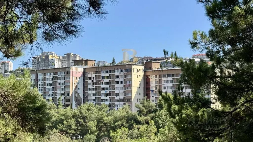 1-к кв. Крым, Ялта ул. Блюхера, 40 (32.1 м) - Фото 1