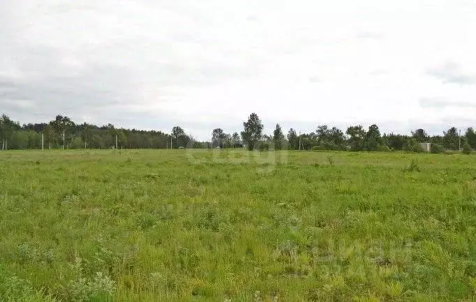 Участок в Ярославская область, Некрасовское рп ул. Советская (12.0 ... - Фото 1